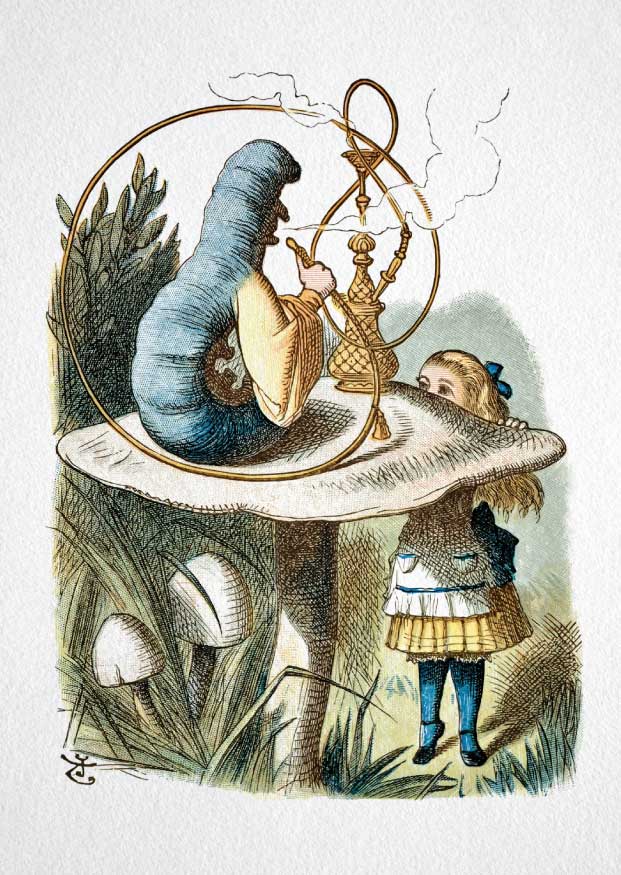 Alice - Caterpillar