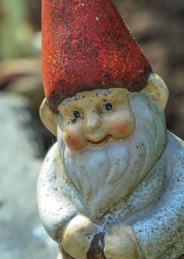 Gnome
