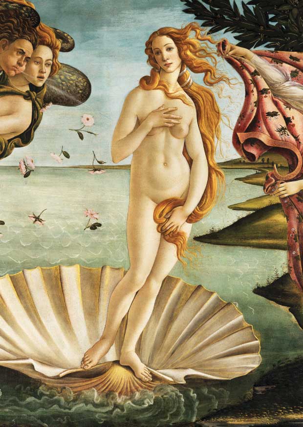Venus Boxed Set