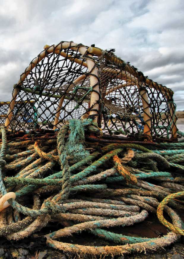 Coast - Lobster Pot
