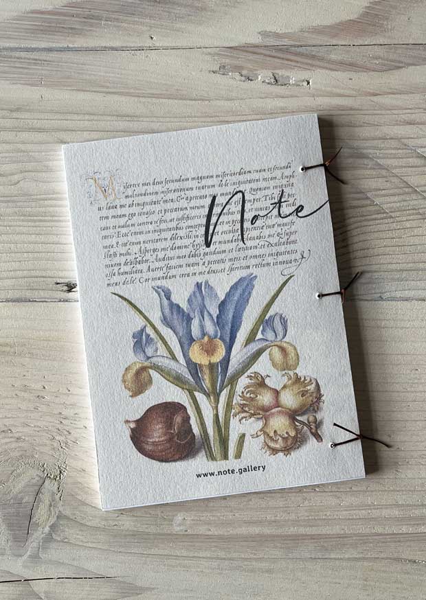 Columbines and Cherry