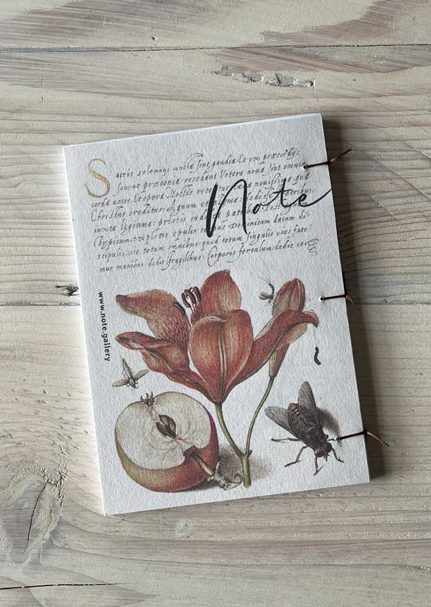 Talewort and Lantern Plant