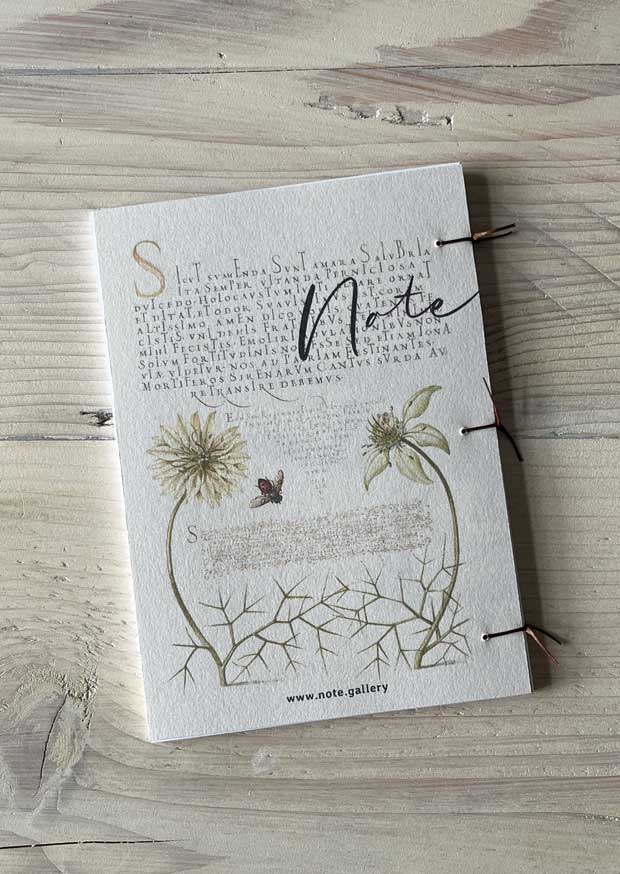 Sweet Violet and Dog Tooth Violet