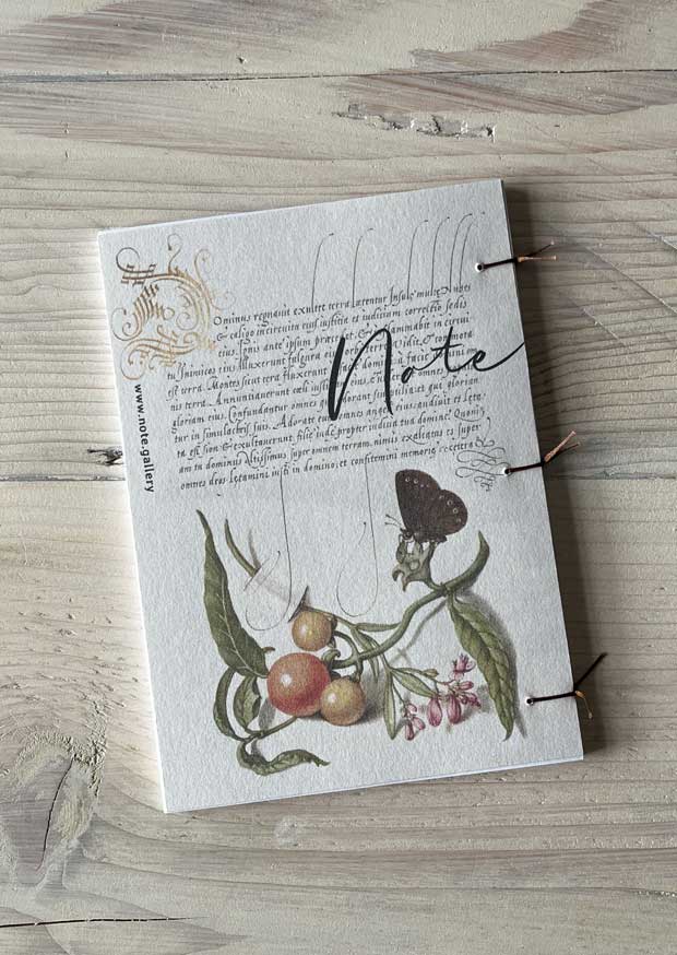 Pomegranate and Peach