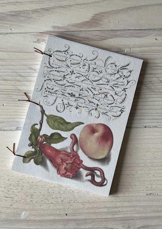 Pomegranate and Peach