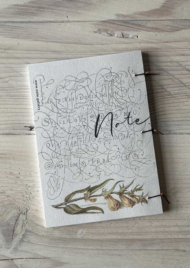 Broadbean and Liverleaf