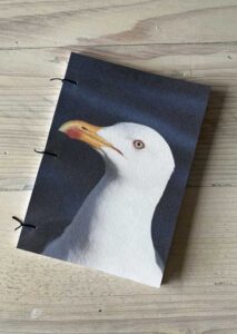 Coast - Gull