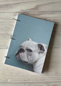 Dog - Stinkeye