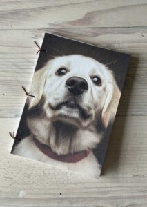 Dog - Puppy