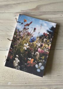 Meadow