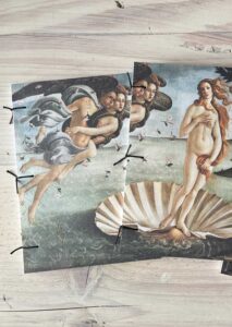 Venus Boxed Set