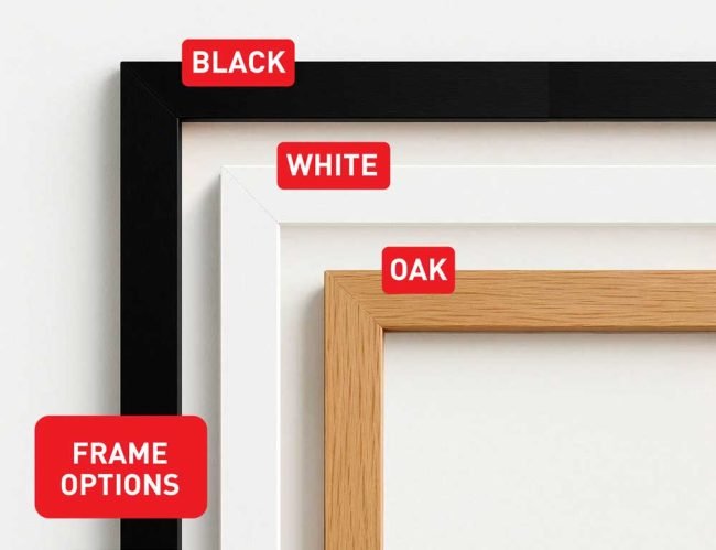 Frame-Options