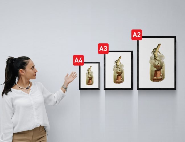 Frames-Size-Comparison-Black